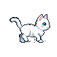 side-frames animation frame