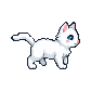 side-frames animation frame